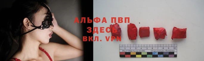 тгк Корсаков