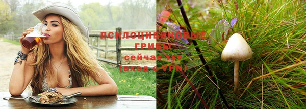 MDMA Premium VHQ Бутурлиновка