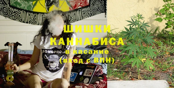 ГАЛЛЮЦИНОГЕННЫЕ ГРИБЫ Краснотурьинск