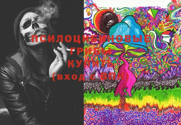 тгк Корсаков