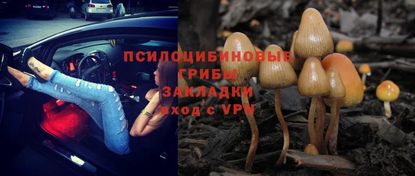мет Болотное